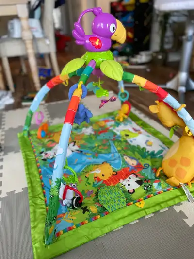 Fisher-Price Baby Playmat, View more