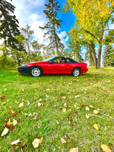 Mint condition Never winter driven always garage stored Zero rust,scratches, dings or tears 2000kms...