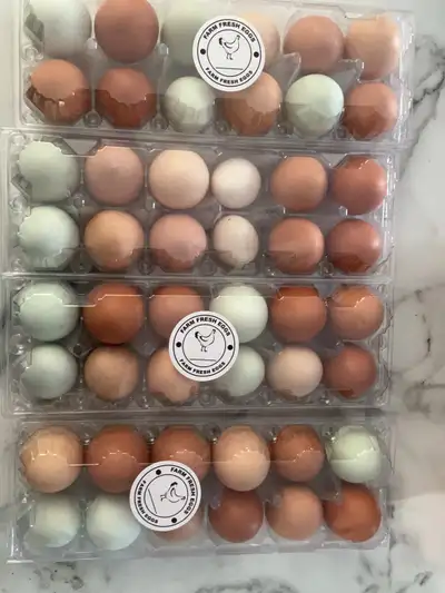 Farm fresh eggs, View more