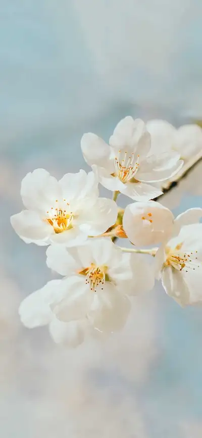 Endroit tranquille près de tout les services, maison privée comprend meublé salon salle de lavage cu...