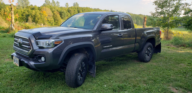 Tacoma, TRD Off-Road, Access Cab, V6, Auto, 2016, low 58k km in Cars & Trucks in Mississauga / Peel Region