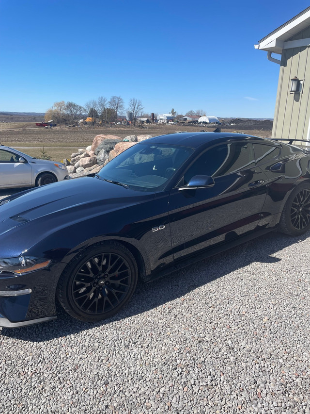 2021 Supercharged Mustang GT in Cars & Trucks in Peterborough - Image 2