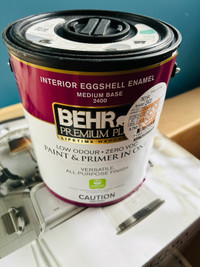 Interior paints from Home Depot 