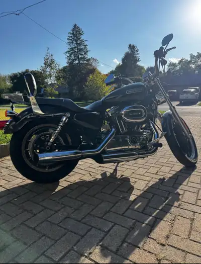 Selling my 2009 Harley sportster 1200. In great condition. Needs nothing. Recently tuned, ready to r...