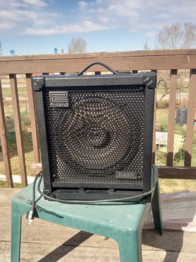 Bass amp