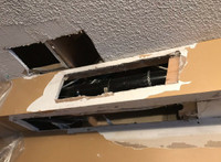 Drywall Repairs~ Damage Hole, Water Leak, Smooth, Mold Removal