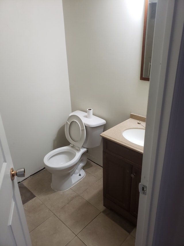 Appartement 2 1/2 à louer - Sauvé Ouest — photo 3