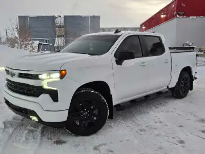 Looking for a driver side mirror for a 2023 chevrolet 1500 RST