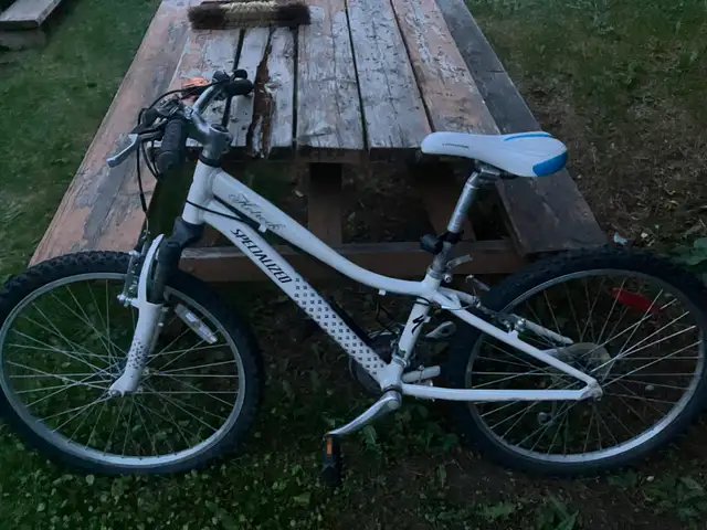 Older bicycle 628637337370891210