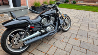 Harley-Davidson VRSCF VROD Muscle - like new condition
