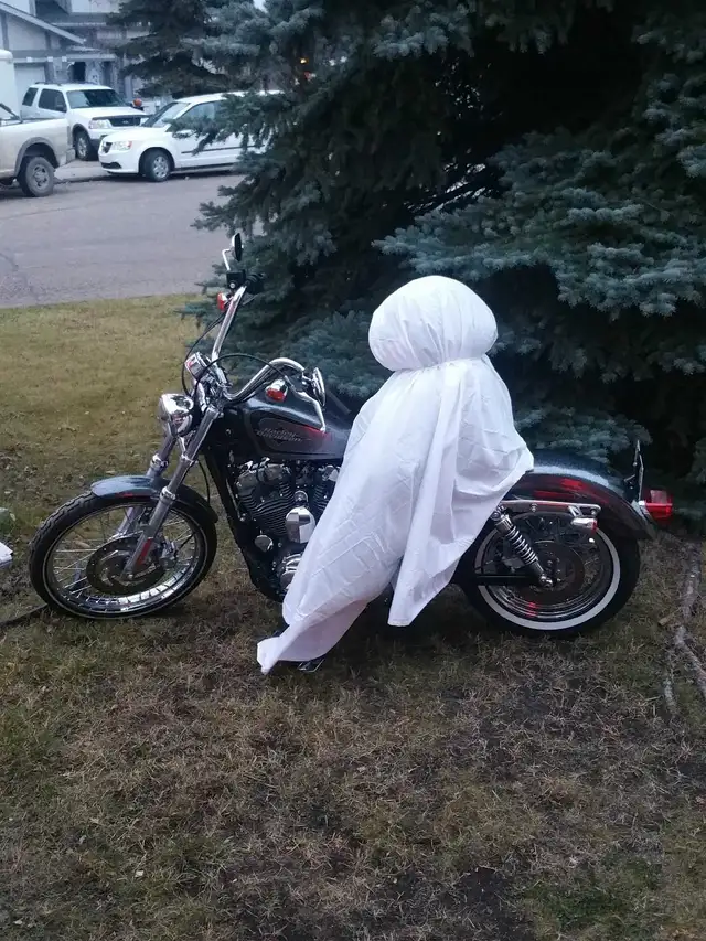 Harley Sportster in Street, Cruisers & Choppers in Edmonton - Image 4