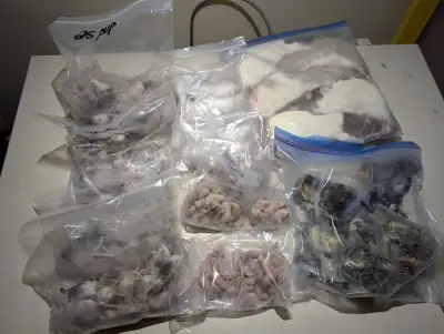 Feeder rodents and insects , View more