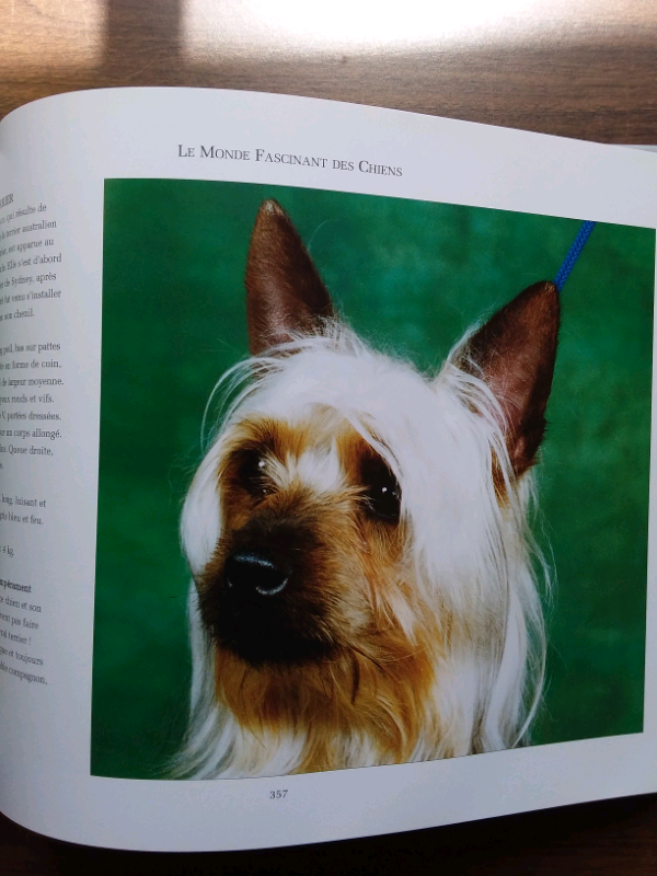 LIVRE L'ESSENTIEL DES CHIENS in Accessories in Lanaudière - Image 11