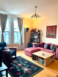 Spacious 2 BR on Plateau/Mile End (July-August)