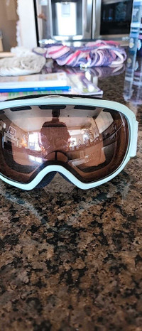 Snowboard / Ski Goggles