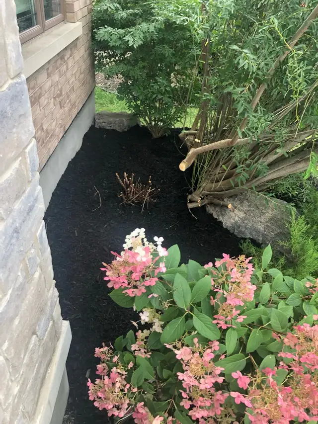 Fall Fresh Start: Affordable Lawn & Garden Cleanup!