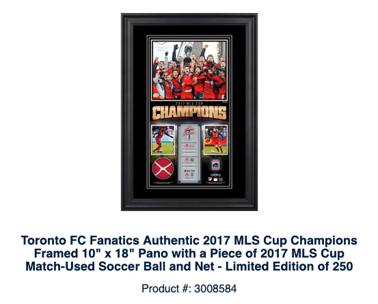 Toronto FC 2017 Champions 10"x18" Pano w/ game used net/ball pcs in Soccer in City of Toronto