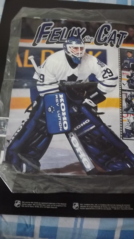4 FELIX POTVIN MAPLE LEAFS ITEMS BUNDLE DEAL/POSTER+MASK+2 cards in Arts & Collectibles in City of Toronto
