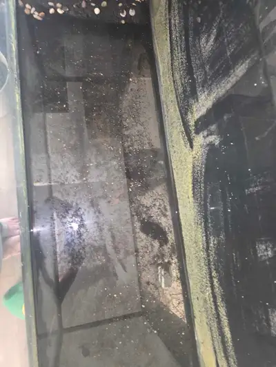 75 gallon emptied, plus stand , 100 it was ugly cocked by person we bought from with black caulking....