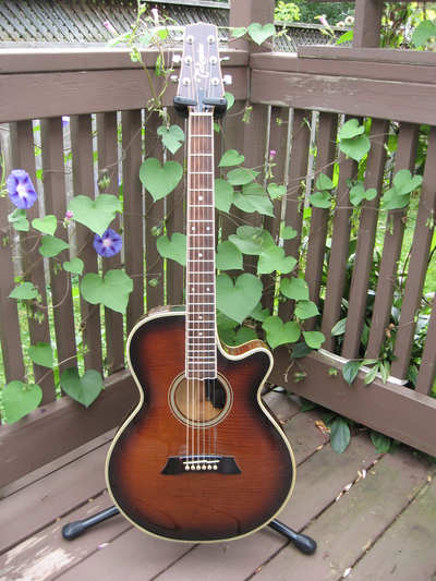 1986 Takamine Pro Series Handcrafted in Japan EF 590 MD model. Flamed arched maple multi bound top a...