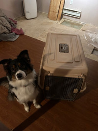 Travel kennel/ Cage