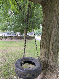 Tire swing with 5'6" chains, ready to hang $50