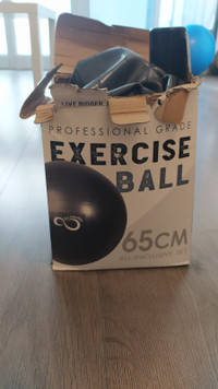 $5 - Exercise ball