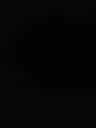 We got 12 pregnant registered holstin heifer for sale calving August to November bred with black Ang...