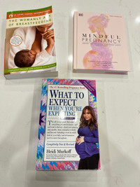 Great Maternity Books - Bundle