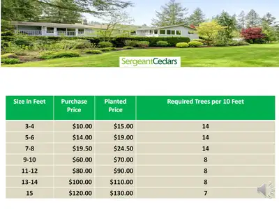 FULL AND HEALTHY CEDAR TREES FOR SALE, View more