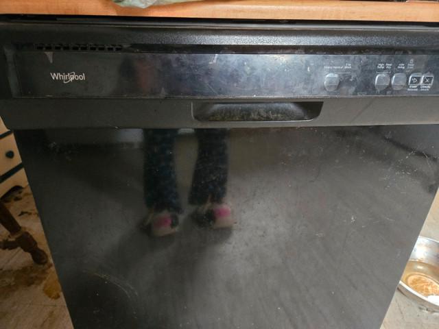 Portable dishwasher in Dishwashers in Thunder Bay - Image 2