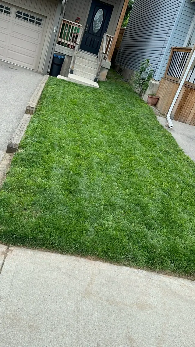 Landscaping Services63581884030595123