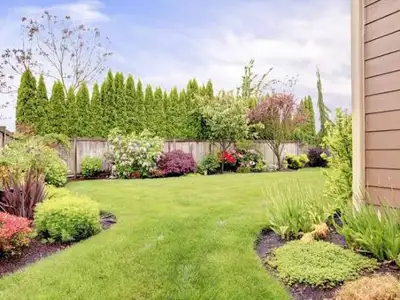 lawn care and yard maintenance, View more