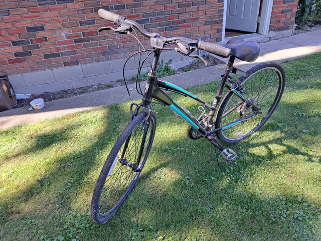 Womens Diadora Bicycle in Mountain in Chatham-Kent - Image 2
