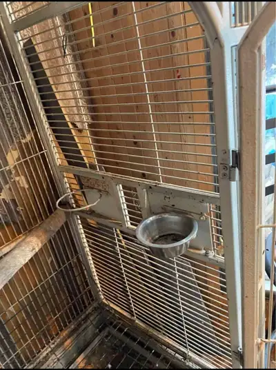 Antique Bird Cage, View more