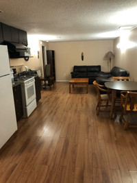 1BR basement suite May 1st 
