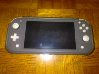 Nintendo switch lite with case.