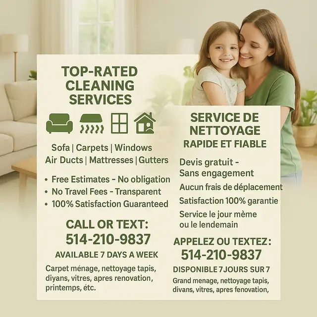 cleaning clean carpet glass windows rugs couch sofa ducts62863281580291121