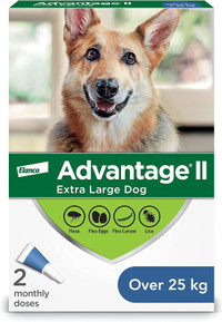 Advantage II for Dogs over 25 kg = 55lbs