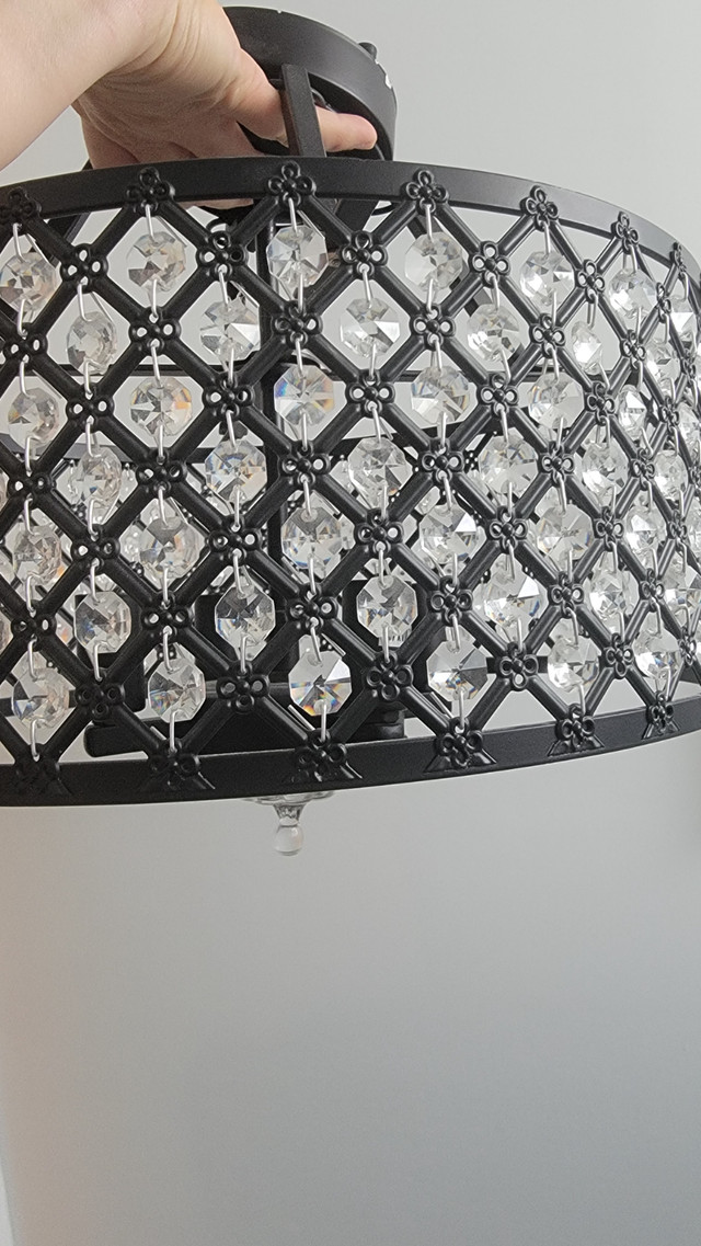 ceiling light/chandelier in Indoor Lighting & Fans in Hamilton