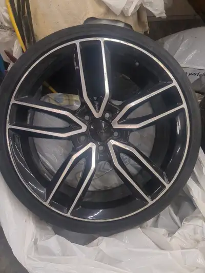 I have 4 rims for sale with toyo tires, will fit Audi ,VW,Mercedes, you can reach me at 5195057957 i...