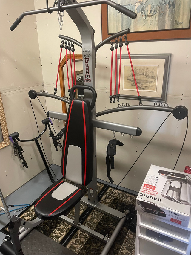 Bio Flex Gym in Exercise Equipment in Owen Sound