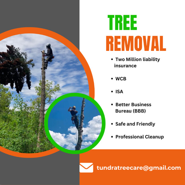 Professional Arborist - Tree Removal and Pruning in Lawn, Tree Maintenance & Eavestrough in Calgary - Image 3