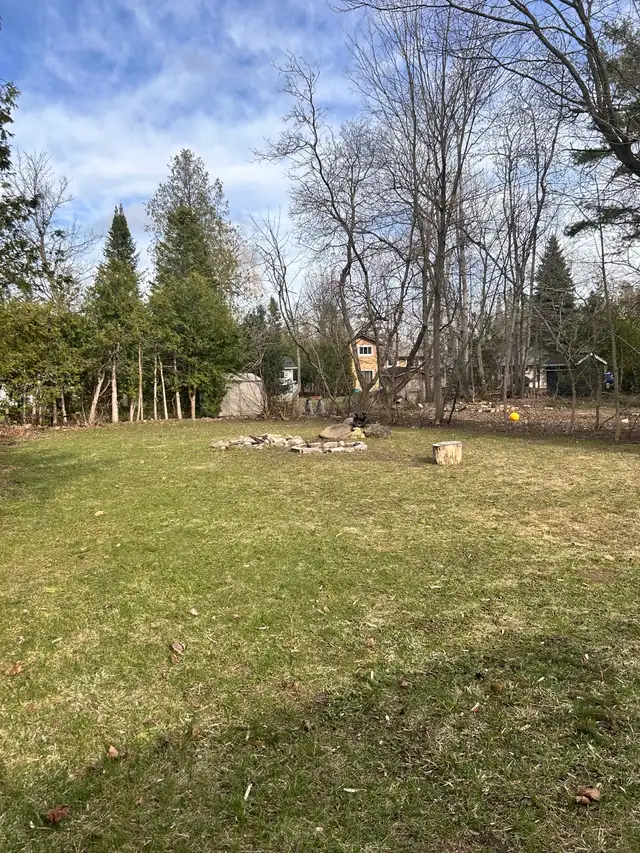 Yard Cleanup & Garbage Removal in Other in Barrie - Image 9