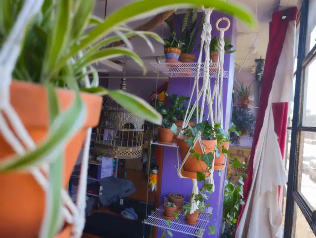 ☾༓⊹ communauté queer cherche colocs ⊹༓☽ in Room Rentals & Roommates in City of Montréal - Image 7