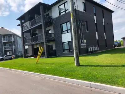 Appartement lumineux offrant un espace de vie confortable, idéal pour une famille ou des professionn...