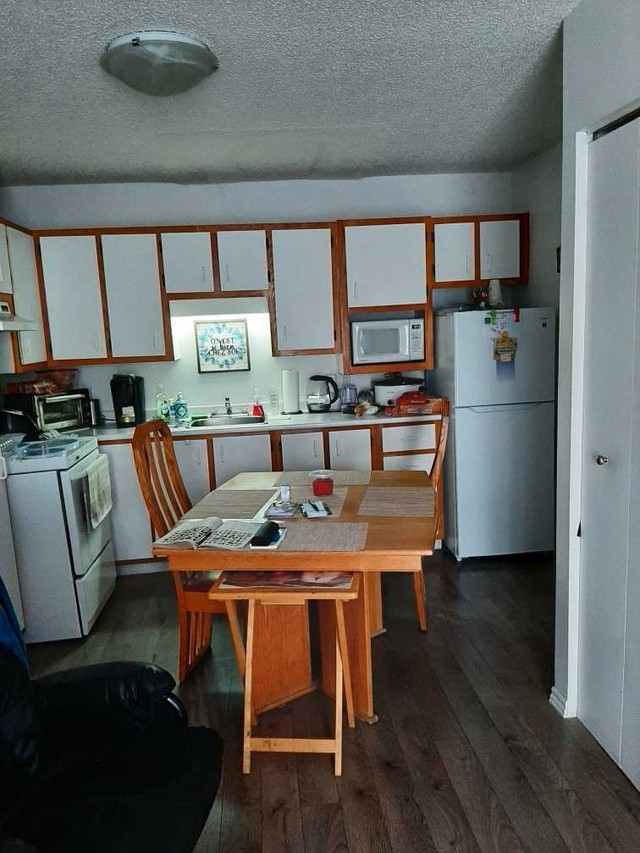 Appartement a louer Tracy 925$ 3 1/2 dans Locations longue durée  à Saint-Hyacinthe - Image 2
