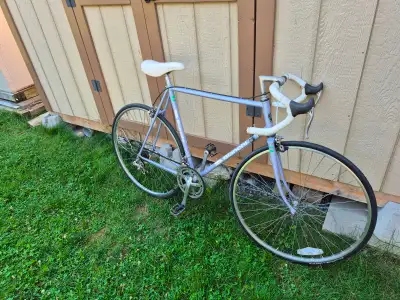 Bianchi tuned up Brava large road bicycle, View more
