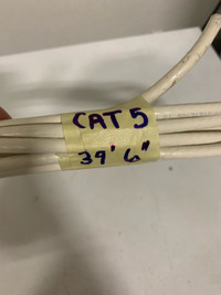 39’ 6” long piece of cat 5 cable
