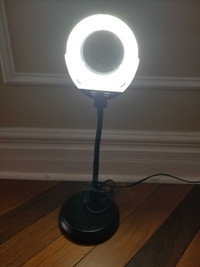 NOMA LED Desk Lamp with Magnifier
